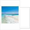 Beach Umbrella in The Maldives by Anonymous