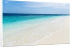Idyllic beach in the Maldives by Anonymous