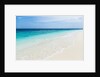 Idyllic beach in the Maldives by Anonymous