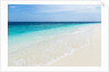 Idyllic beach in the Maldives by Anonymous