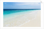 Idyllic beach in the Maldives by Anonymous