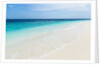 Idyllic beach in the Maldives by Anonymous