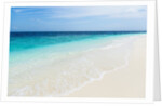 Idyllic beach in the Maldives by Anonymous