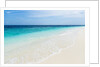 Idyllic beach in the Maldives by Anonymous
