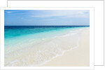 Idyllic beach in the Maldives by Anonymous