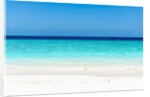 Idyllic beach in The Maldives by Anonymous