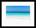 Idyllic beach in The Maldives by Anonymous