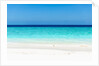 Idyllic beach in The Maldives by Anonymous