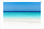 Idyllic beach in The Maldives by Anonymous