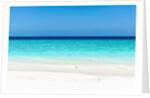 Idyllic beach in The Maldives by Anonymous