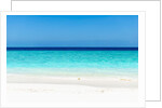 Idyllic beach in The Maldives by Anonymous