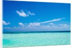 The ocean in The Maldives by Anonymous