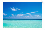 The ocean in The Maldives by Anonymous