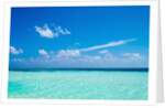 The ocean in The Maldives by Anonymous
