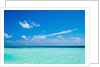The ocean in The Maldives by Anonymous