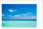 The ocean in The Maldives by Anonymous