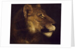 Head of lioness by Theodore Gericault