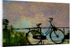 Bike by Anonymous