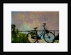 Bike by Anonymous