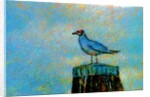 Bird by Anonymous
