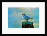 Bird by Anonymous
