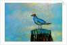 Bird by Anonymous