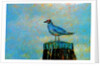 Bird by Anonymous