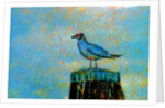 Bird by Anonymous
