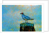 Bird by Anonymous