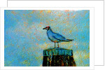 Bird by Anonymous