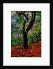 Tree by Anonymous