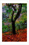 Tree by Anonymous