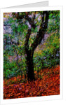 Tree by Anonymous