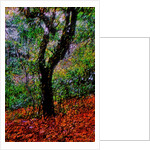 Tree by Anonymous