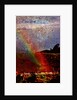 Rainbow by Anonymous