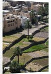 Al Hajir, Oman. by Anonymous