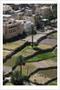 Al Hajir, Oman. by Anonymous