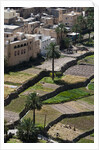 Al Hajir, Oman. by Anonymous