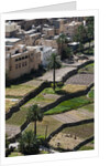 Al Hajir, Oman. by Anonymous