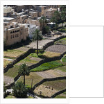 Al Hajir, Oman. by Anonymous