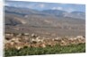 Al Hamra, Oman. by Anonymous