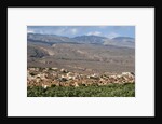 Al Hamra, Oman. by Anonymous