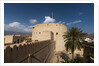 Nizwa fort, Oman. by Anonymous