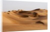 Desert sand dunes by Anonymous
