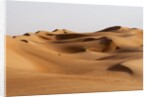 Desert sand dunes by Anonymous