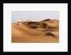 Desert sand dunes by Anonymous