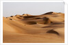 Desert sand dunes by Anonymous