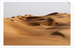 Desert sand dunes by Anonymous