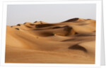 Desert sand dunes by Anonymous