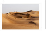 Desert sand dunes by Anonymous